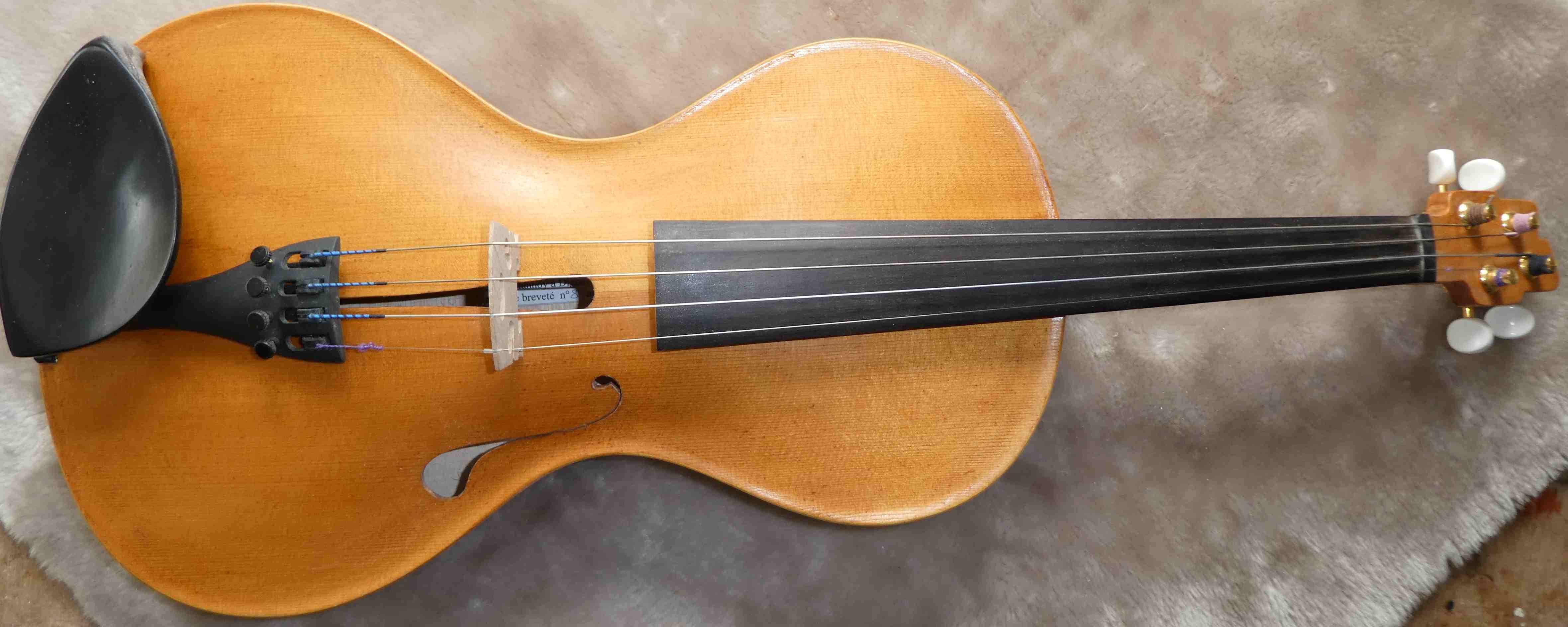 violon coup
